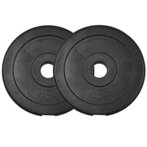 Standard Vinyl Weight Plates Pair (1KG x 2)-0